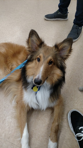 Pet Supply Store «Petco Animal Supplies», reviews and photos, 197 E Dekalb Pike #350, King of Prussia, PA 19406, USA