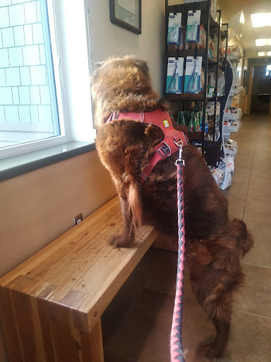 Mt. McKinley Animal Hospital