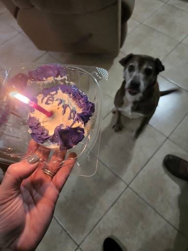 Pet Store «The Canine Cookie Company», reviews and photos, 207 E Louisiana St, McKinney, TX 75069, USA