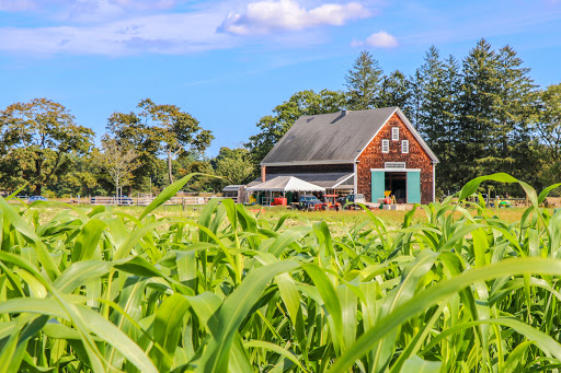 Farm «Russell Orchards», reviews and photos, 143 Argilla Rd, Ipswich, MA 01938, USA