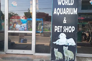 Sea World Aquarium & Pet Shop image