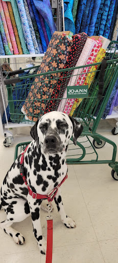 Fabric Store «Jo-Ann Fabrics and Crafts», reviews and photos, 10261 River Marsh Dr #149, Jacksonville, FL 32246, USA