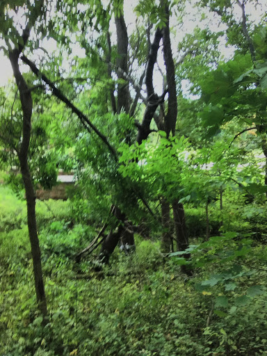 National Park «Effigy Mounds National Monument», reviews and photos, 151 IA-76, Harpers Ferry, IA 52146, USA