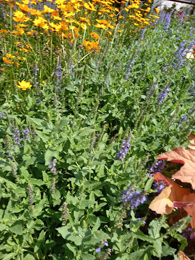 Home Improvement Store «The Home Depot», reviews and photos, 116 Walker Ave, West Berlin, NJ 08091, USA