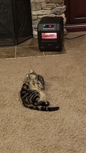 Pet Supply Store «Pet Supplies Plus», reviews and photos, 987 S Main St, Centerville, OH 45458, USA