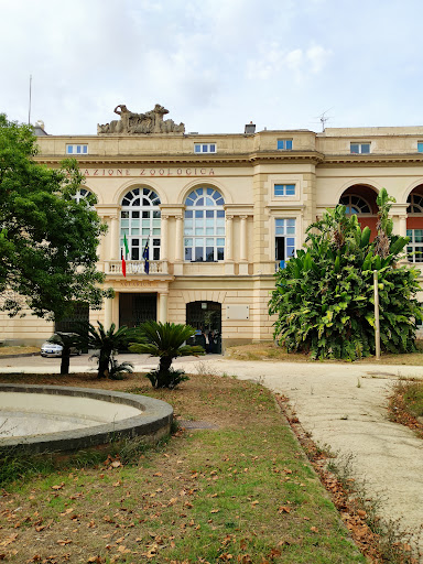 Urban gardens in Naples