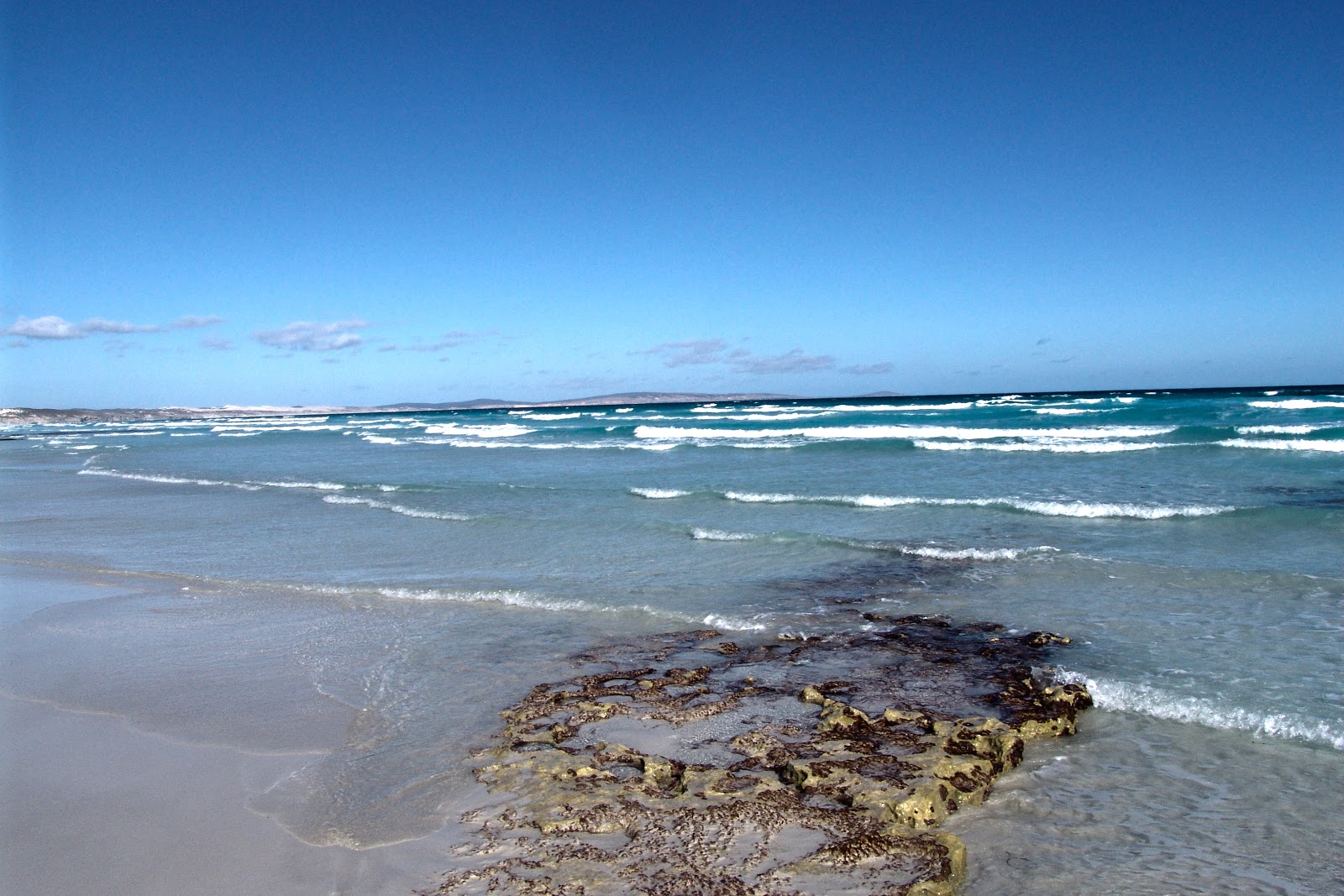 Mary Ellis Wreck Beach的照片 带有碧绿色纯水表面