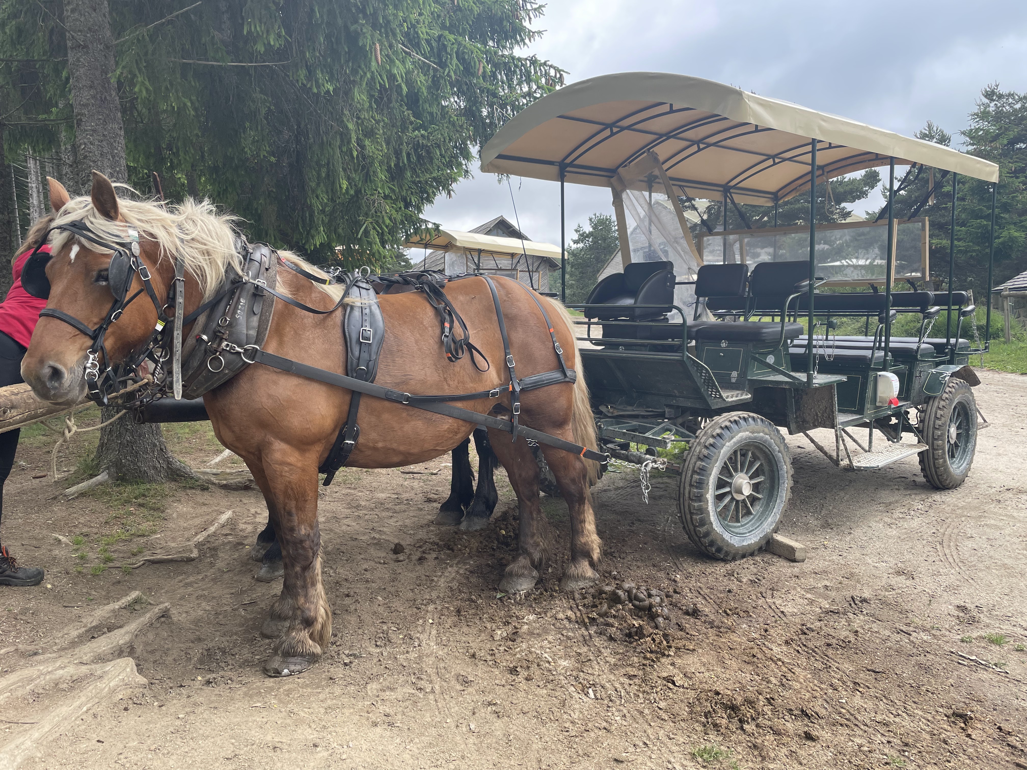 Photo n° 5 de l'avis de Jérémy.h fait le 06/07/2021 à 17:09