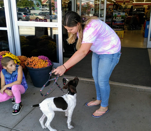 Home Improvement Store «Tractor Supply Co.», reviews and photos, 321 N 3rd St, Oxford, PA 19363, USA