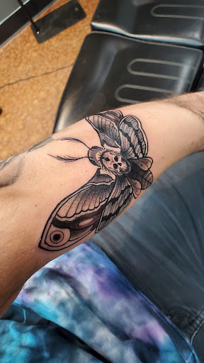 Explore tattoo ideas dogs, creative tattoo ideas in Batavia, available at A Thin Line Tattoo
