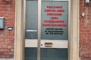 Pole Dance Alessandria - Academia Tropical image