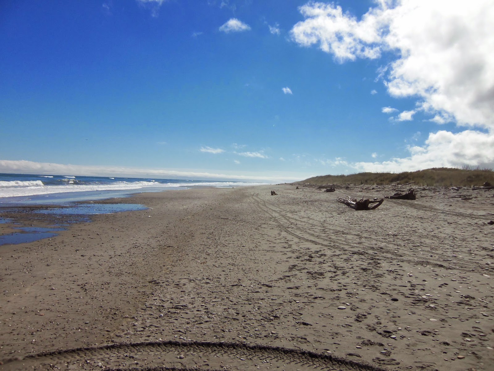 Foto de Mananui Beach con recta y larga