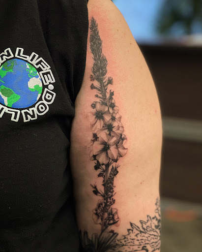 Explore background tattoo ideas sleeve, creative tattoo ideas in Graham, available at Transcendence Art Studio & Tattoo