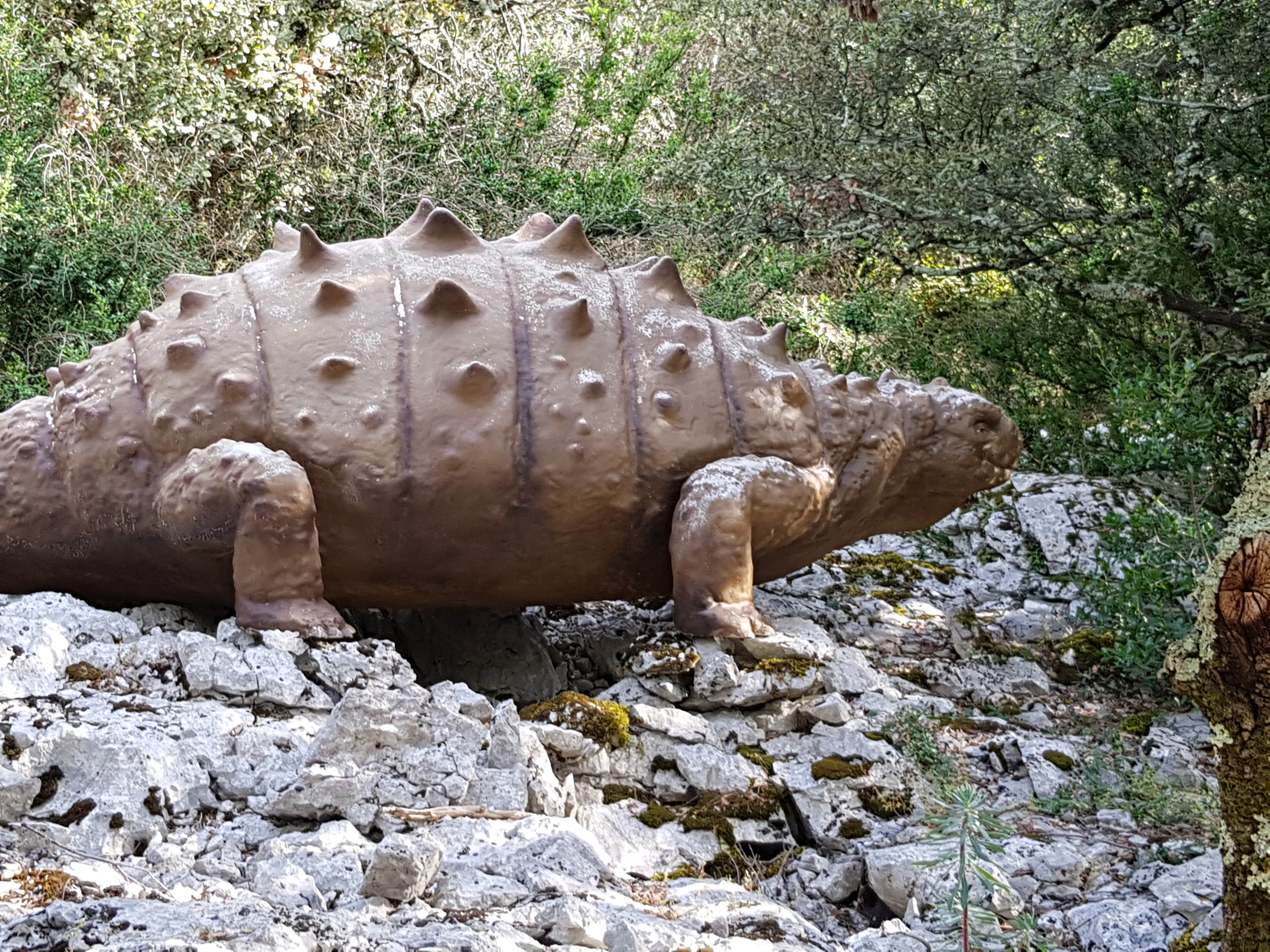 Photo n° 24 de l'avis de Dominique.o fait le 19/08/2021 à 11:21
