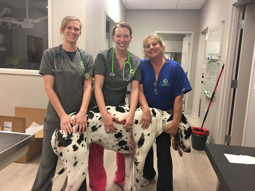 Riverstone Animal Hospital