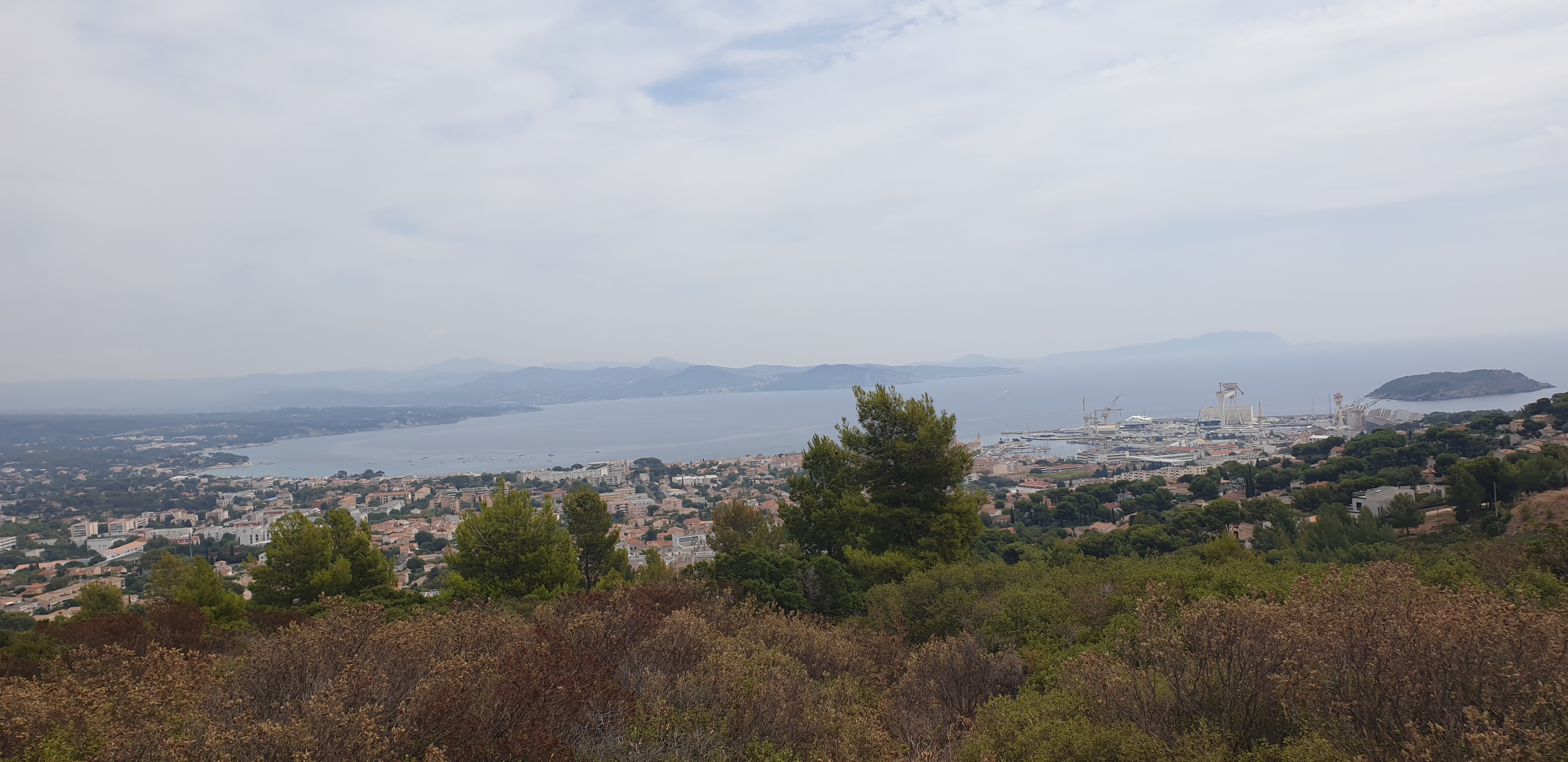 Photo n° 16 de l'avis de Bibiche. fait le 27/08/2019 à 16:18