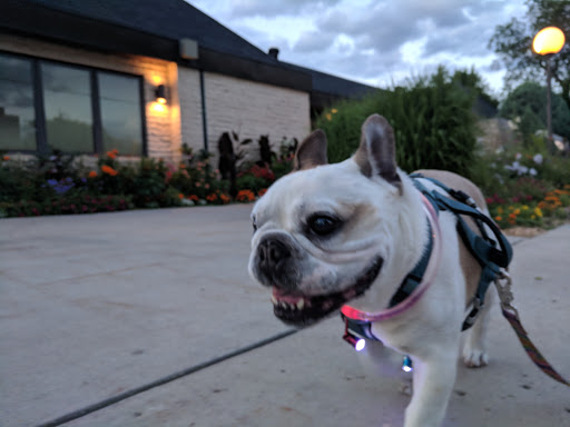 Funeral Home «Boulger Funeral Home», reviews and photos, 123 10th St S, Fargo, ND 58103, USA