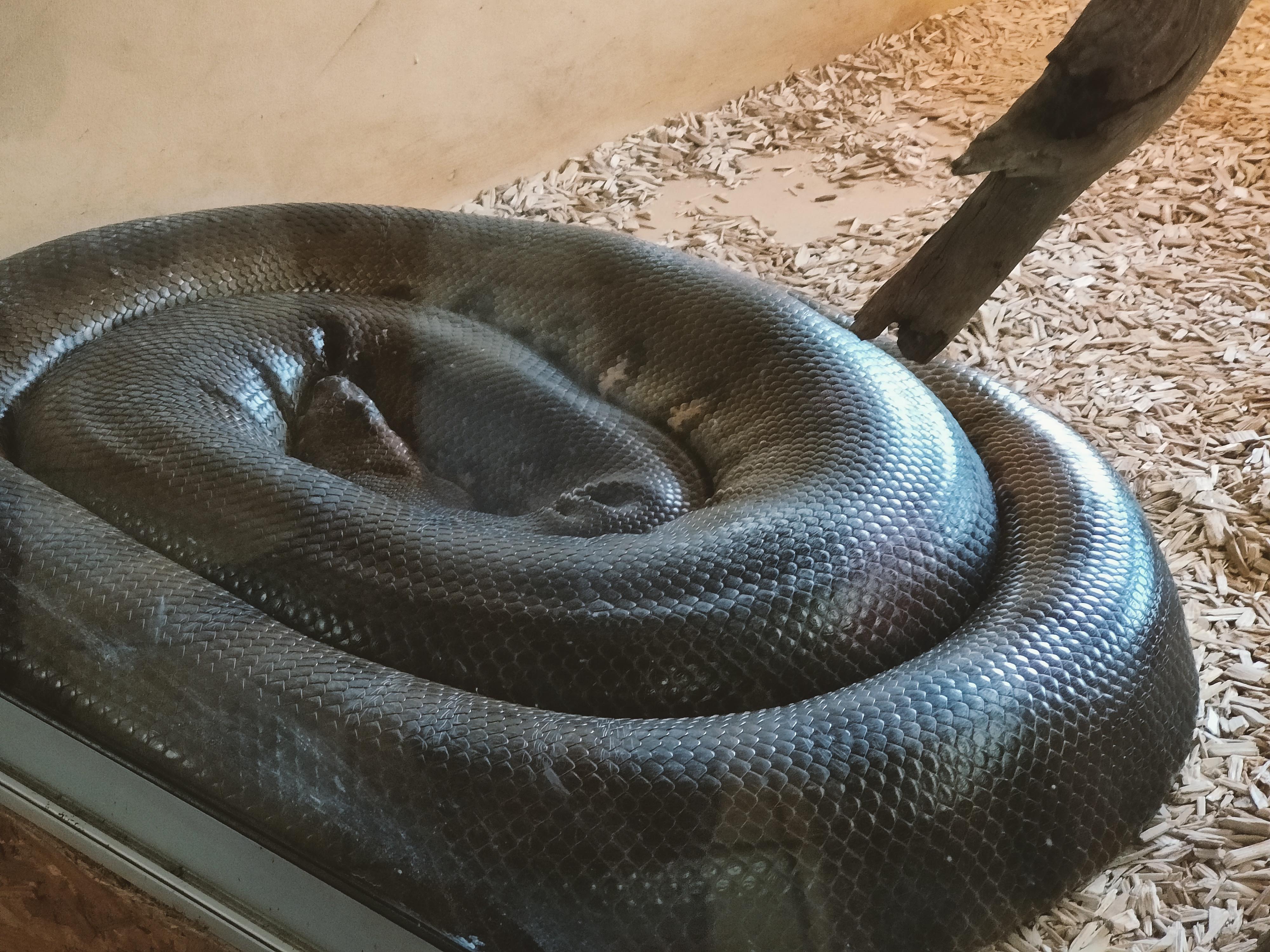 Photo n° 3 de l'avis de Loutre1870. fait le 24/08/2022 à 18:36