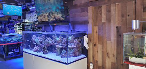 Tropical Fish Store «Lax Aquarium», reviews and photos, 5310 W Century Blvd, Los Angeles, CA 90045, USA