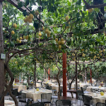 Photo n°4 de l'avis de sabrina. fait le 09/08/2022 à 22:26 sur le  Da Paolino à Capri