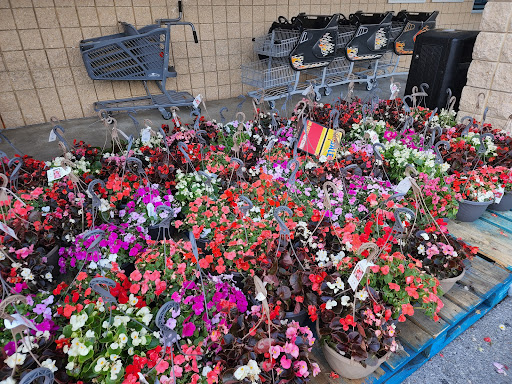 Grocery Store «Food Lion», reviews and photos, 2060 Yellow Springs Rd, Frederick, MD 21702, USA