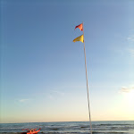 Photo n°1 de l'avis de Erika.u fait le 01/07/2021 à 06:24 sur le  Ristorante Calafuria à Lido di Camaiore