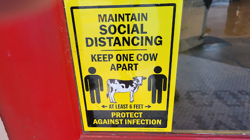 Toy Store «Toy B Ville - Downtown Petaluma», reviews and photos, 136 Petaluma Blvd N, Petaluma, CA 94952, USA