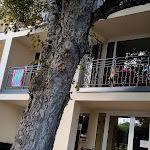 Photo n°3 de l'avis de Benita.e fait le 23/06/2023 à 07:57 sur le  Weinquartier Burggarten à Bad Neuenahr-Ahrweiler