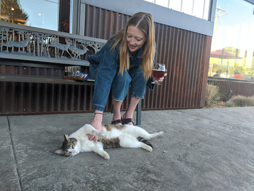 Brewery «Backslope Brewing», reviews and photos