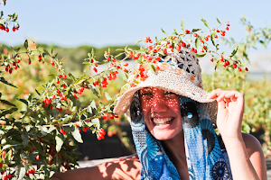 Global Tribe Biodynamic Ecovillage image