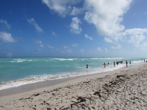 Beach Resort «The Miami Beach Resort & Spa», reviews and photos, 4833 Collins Ave, Miami Beach, FL 33140, USA