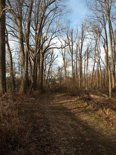 Park «Rockburn Park Playground», reviews and photos, 6105 Rockburn Branch Park Rd, Elkridge, MD 21075, USA