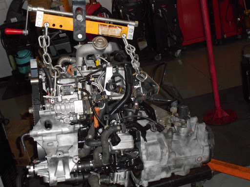 Auto Repair Shop «European Autohaus», reviews and photos, 1105 E Bearss Ave, Lutz, FL 33549, USA