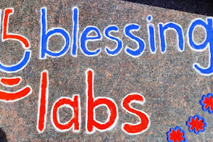 blessing Labs image