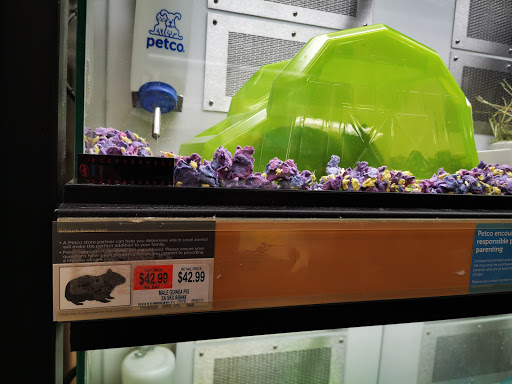 Pet Supply Store «Petco Animal Supplies», reviews and photos, 205 Washington St #11, Hudson, MA 01749, USA