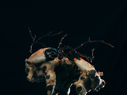 Caterer «Thierry Isambert Culinary and Event Design», reviews and photos, 915 NW 72nd St, Miami, FL 33150, USA