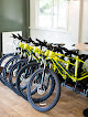 Bike rentals Northampton