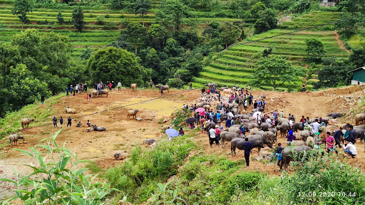 Top 20 các cửa hàng dkbike Huyện Xi Ma Cai Lào Cai 2022