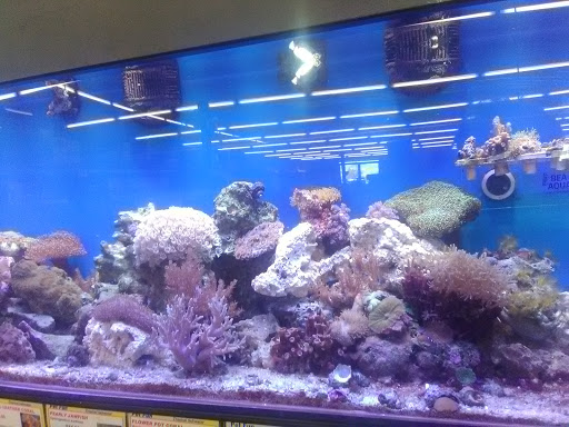 Pet Supply Store «Pet Fun At Harden Ranch Plz», reviews and photos, 1780 N Main St, Salinas, CA 93906, USA