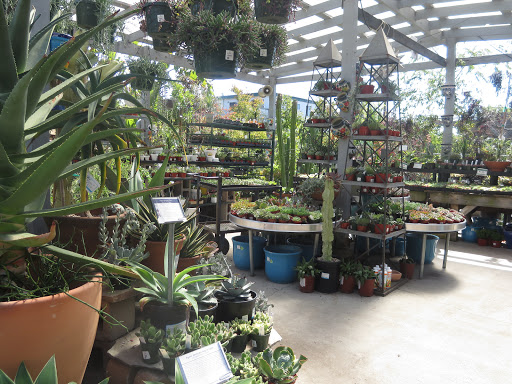 Bonsai plant supplier Berkeley
