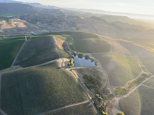 Sonoma Ballooning image