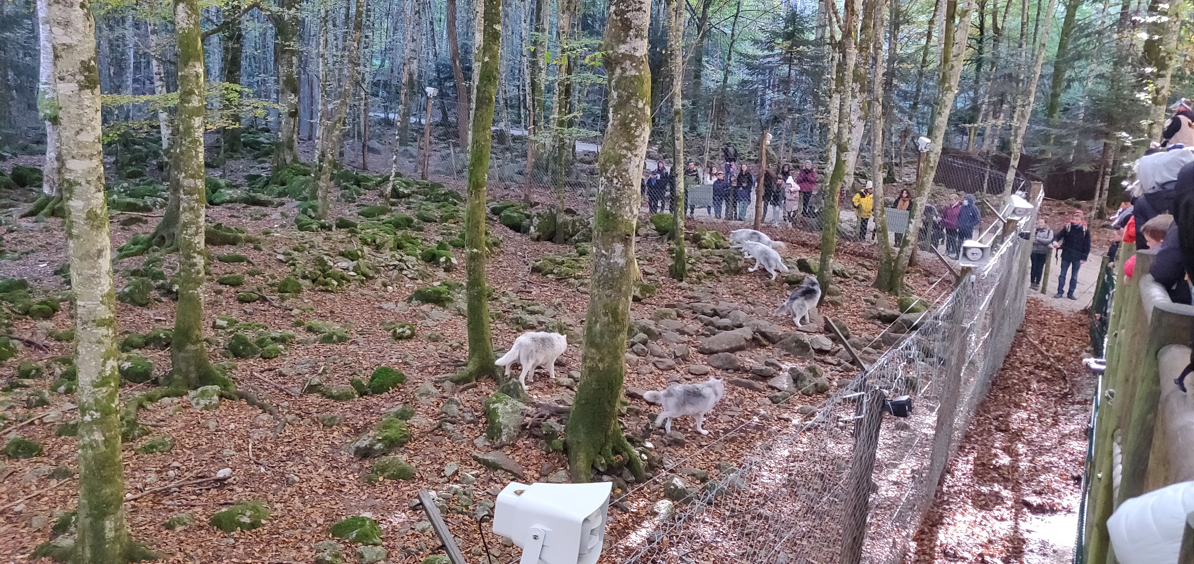 Photo n° 16 de l'avis de Arti.l fait le 29/10/2021 à 16:50