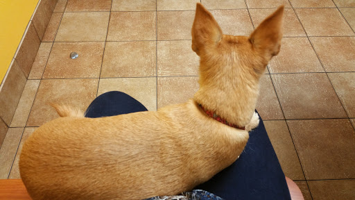 Pet Supply Store «PetSmart», reviews and photos, 1800 Evans Rd, Melbourne, FL 32904, USA