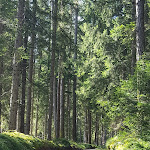 Photo n°1 de l'avis de Silvia.a fait le 30/08/2017 à 12:50 sur le  Hotel Ranuimüllerhof à Villnöß