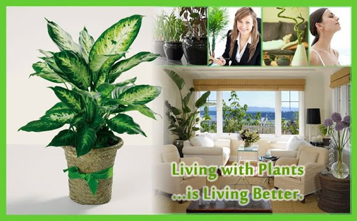 Florist «12th Street Florist», reviews and photos, 1701 E 12th St, Cleveland, OH 44114, USA