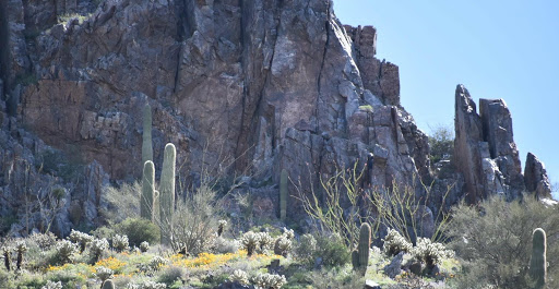 Nature Preserve «Gateway Trailhead - McDowell Sonoran Preserve», reviews and photos, 18333 N Thompson Peak Pkwy, Scottsdale, AZ 85255, USA