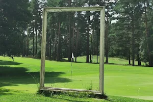 Golfs Viesturi image