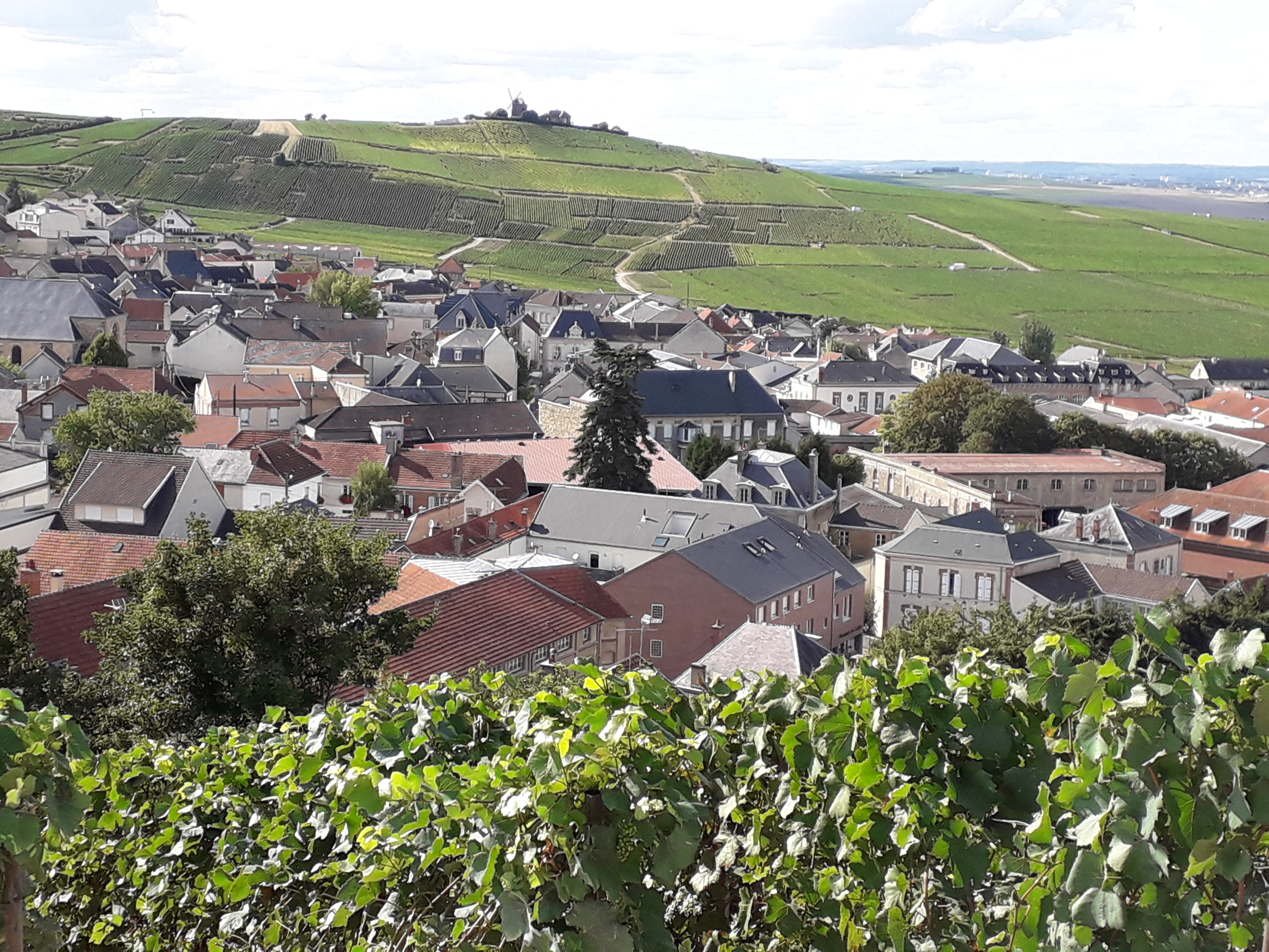 Photo n° 3 de l'avis de Cathy.r fait le 29/08/2018 à 13:25