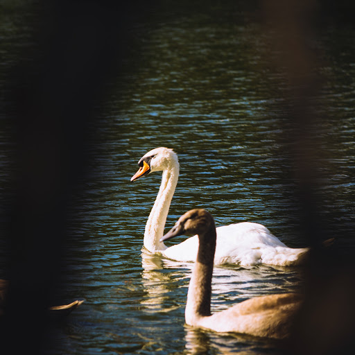 Nature Preserve «Franklin Lakes Nature Preserve», reviews and photos, 1 Nature Preserve Way, Franklin Lakes, NJ 07417, USA