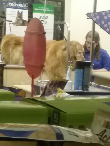 Pet Supply Store «PetSmart», reviews and photos, 1291 Churchmans Rd, Newark, DE 19713, USA